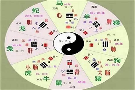 沛的五行|沛字的五行属性